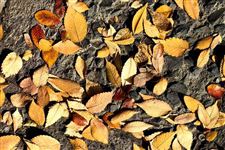 环评工程师考试报考在即！这些关键点必须要掌握